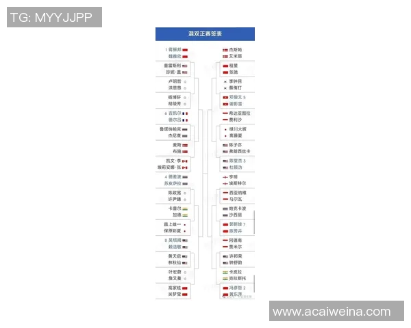 深圳羽毛球队在英超钻石联赛中的个人能力表现全面分析与点评