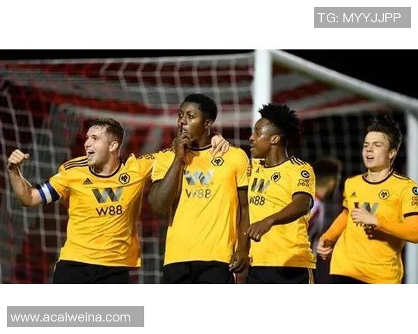 英超聚焦西安羽毛球队的比赛经验与成长之路探讨