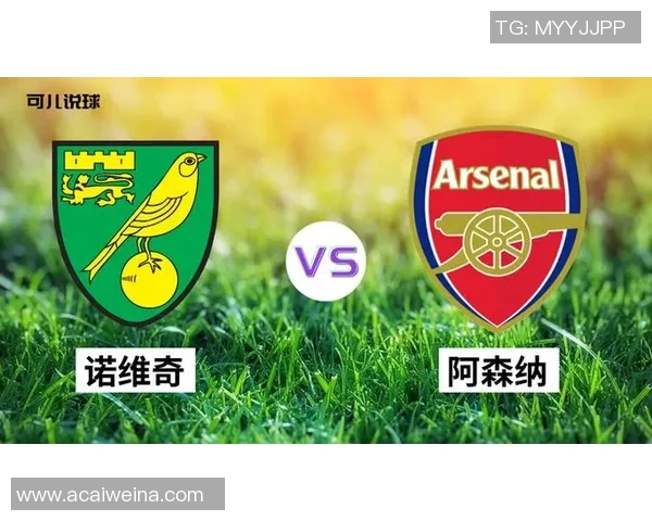 英超足球专题深入分析杭州足球队的实力与发展潜力