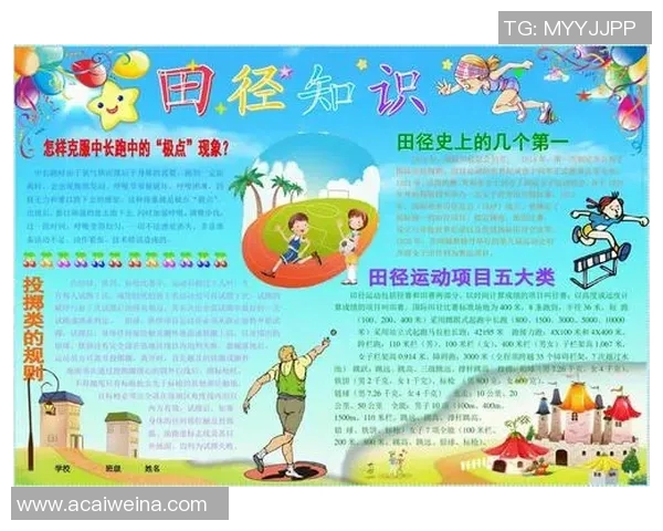 从零基础到高手乒乓球节奏掌握与欧冠足球技巧全解析