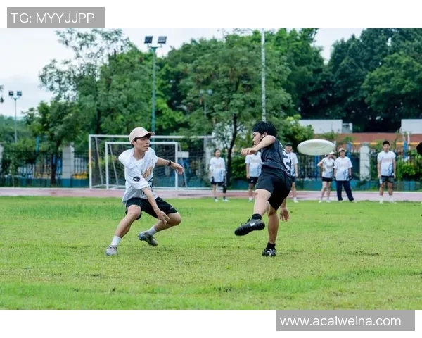 探秘深圳飞盘队的反击战术与运动飞盘的魅力所在