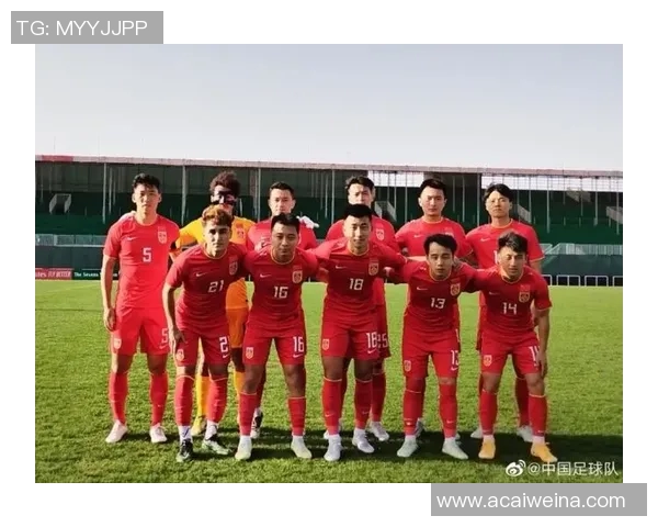 西安足球队实力分析与发展前景探讨聚焦地方足球的崛起与挑战实时数据